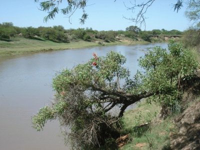 Arroyo PÃ¡jaro Blanco. Santa Fe. Argentina