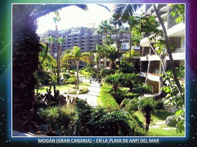 MOGÃN (GRAN CANARIA) â€“ EN LA PLAYA DE ANFI DEL MAR