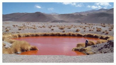 En el Salar de Antofalla. Catamarca. Argentina