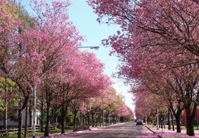 En ParanÃ¡. Entre RÃ­os. Argentina