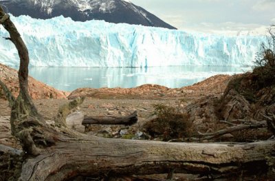 En el PN Los Glaciares. Patagonia Argentina