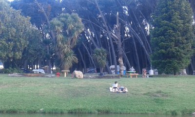 Camping de Villa Ventana. Bs As. Arg