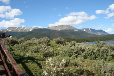 En Tierra del Fuego. Argentina