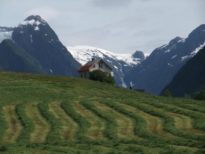 FjÃ¦rland