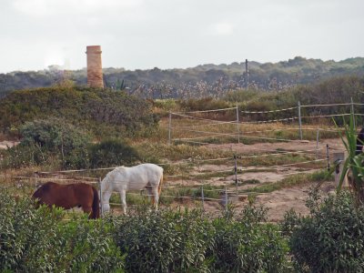 mallorca