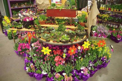 Display at Vermont Flower Show