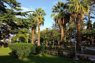 En MaipÃº. Mendoza. Argentina