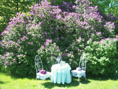 Pretty Garden Tea Setting