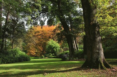 arborÃ©tum