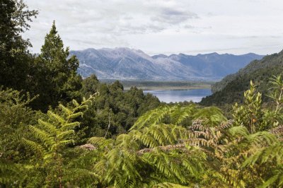 Pumalin Park, Chile