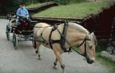 Horse   Carriage