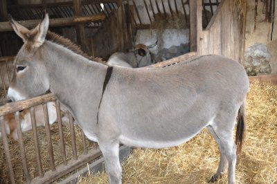 le puy du fou