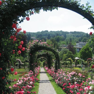 Garden Path - Northern Italy