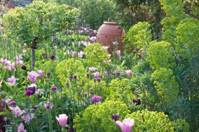 Pink and Purple Spring Blooms