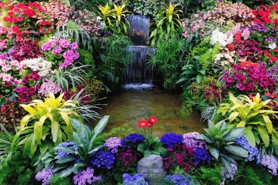 Gorgeous Waterfall Garden