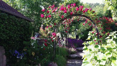 Giverny Village Garden-Paris