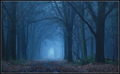 Bosque Azul, BÃ©lgica