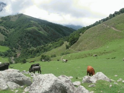 En Lules. TucumÃ¡n. Argentina