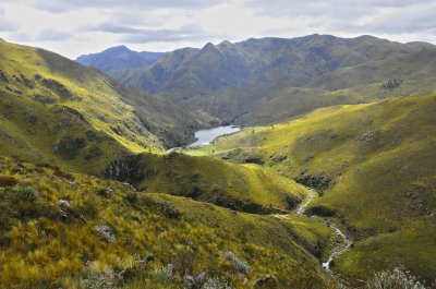 Los Alazanes. CÃ³rdoba. Argentina