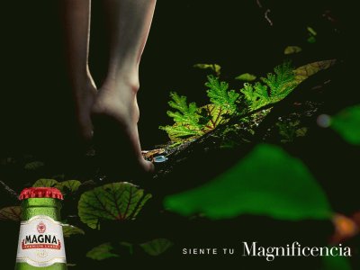 Cerveza Magna Rica