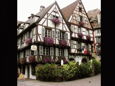 colmar