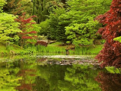 jardines de Vancouver