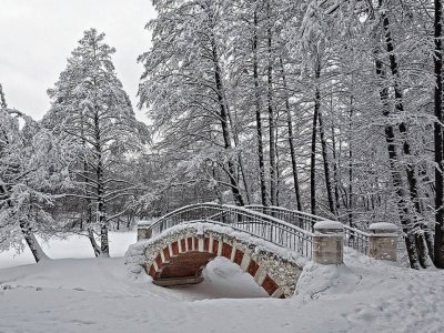 todo paisaje