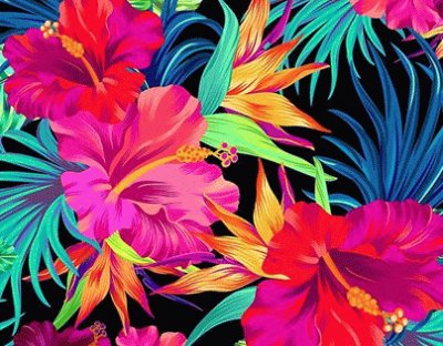 Tropical Flowers