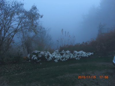 NEBBIA IN VALLE