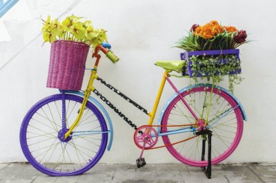 Flowers-on-Bicycle