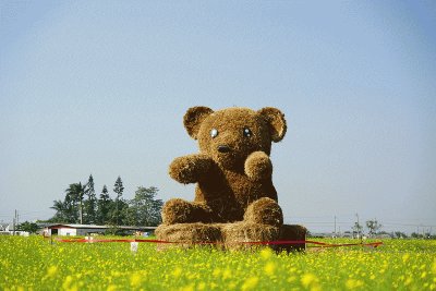 å˜‰ç¾©å¤ªä¿èŠ±æµ·ç¯€