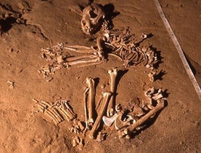 Bear Skeleton in Blackrock cave