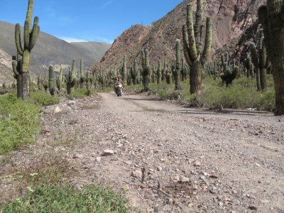 Huachichocana. Jujuy. Argentina