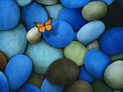 Orange-Butterfly-On-Blue