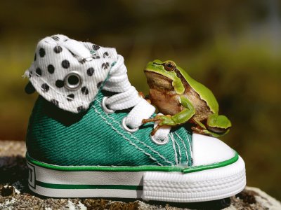 Green-Frog-Sneakers