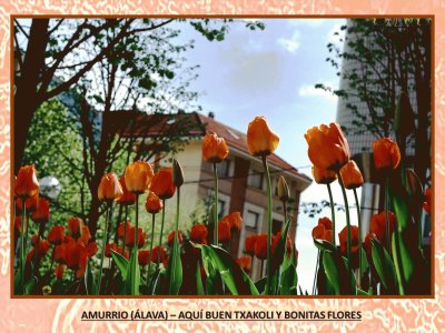 AMURRIO (ÃLAVA) â€“ BUEN TXAKOLI Y BONITAS FLORES