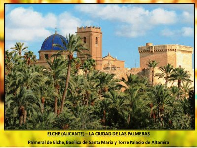 ELCHE (ALICANTE) â€“ LA CIUDAD DE LAS PALMERAS