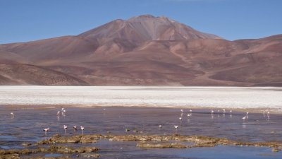 Laguna de los Aparejos. Catamarca. Argentina