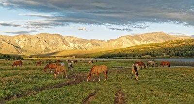 Cerca de Esquel. Chubut. Argentina