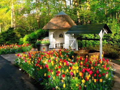 Netherlands_Parks_Tulips_