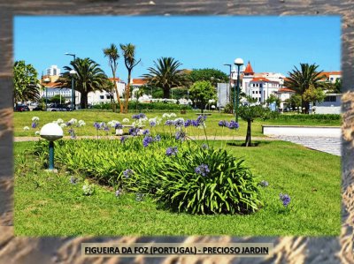 FIGUEIRA DA FOZ (PORTUGAL) - PRECIOSO JARDIN