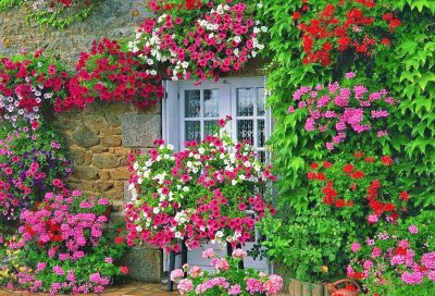 ventana con flores