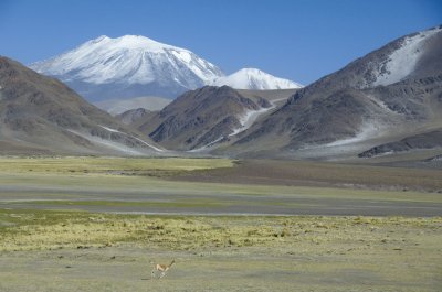 VolcÃ¡n Incahuasi. Catamarca. Argentina