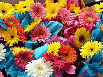 Bouquet-of-Gerberas