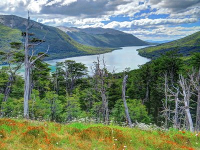 Lago Escondido. Tierra del Fuego. Argentina