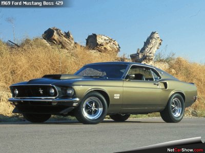 Mustang Boss 429