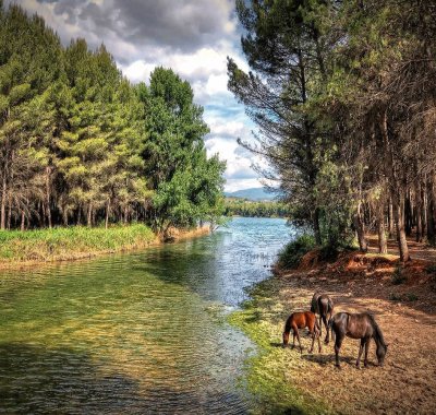 Maravilla de la Naturaleza