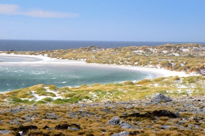 Cerca de Pto. Argentino. Islas Malvinas. ARGENTINA