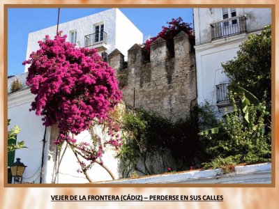 VEJER DE LA FRONTERA (CÃDIZ) â€“ PERDERSE...