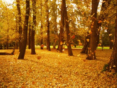 OtoÃ±o en CÃ³rdoba. Argentina